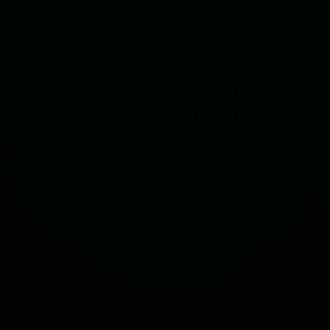 Meet your Posher, Vada